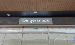 Gingersnaps 1