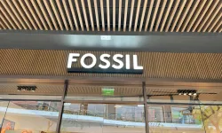 Fossil 1