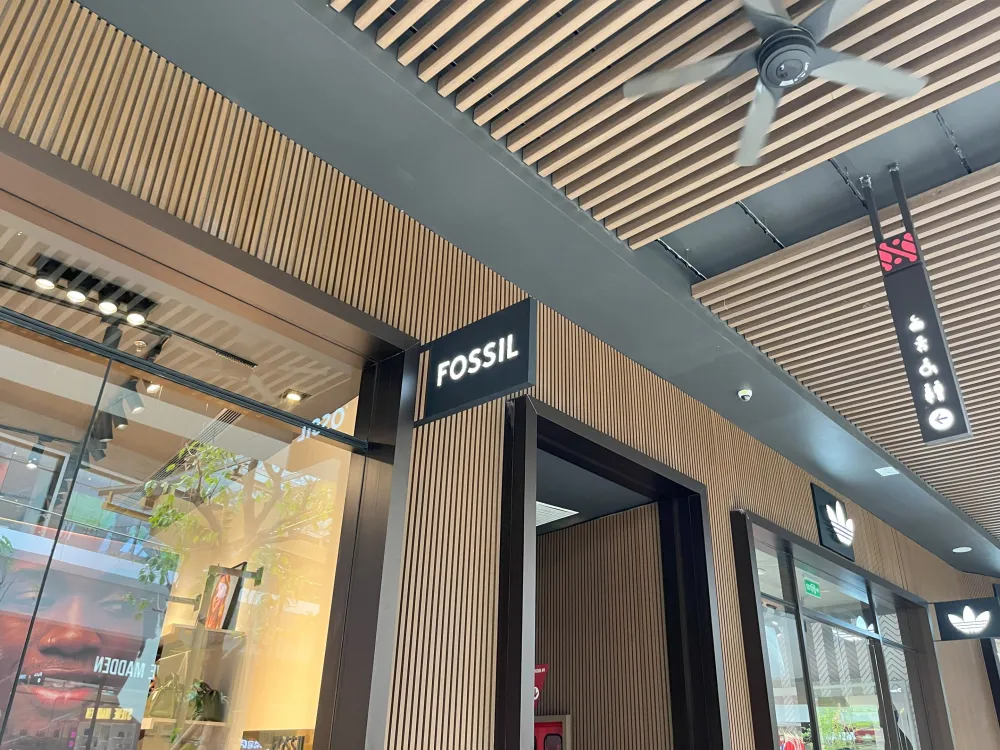 SIGNAGE Fossil 2 ~dl/2026/2/23/img_4744
