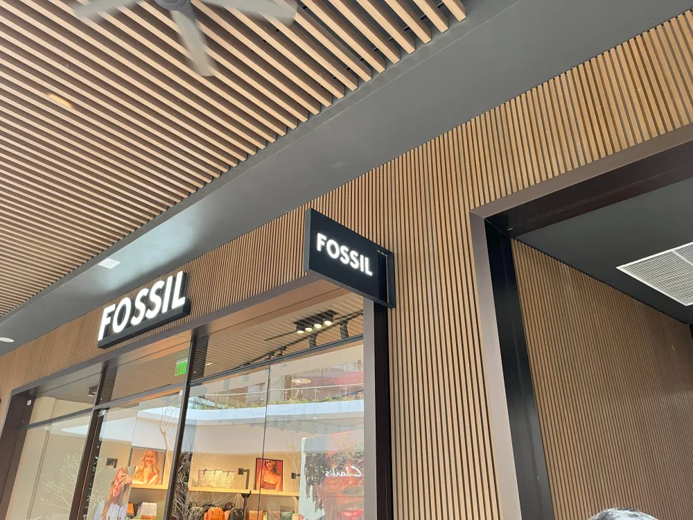 SIGNAGE Fossil 3 ~dl/2026/2/23/img_4745