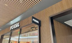 Fossil 3
