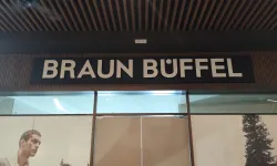 Braun Buffel 1