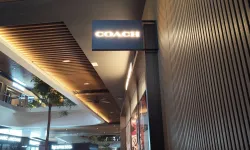 Coach 7
